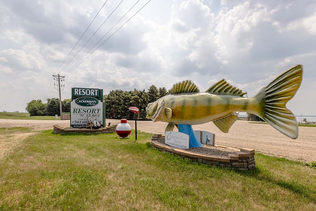 Giant walleye statue outside of Ackerman Acres Resort in Devils Lake, ND