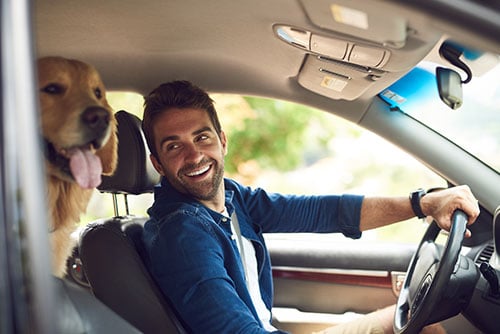 Thirtysomething man in denim shirt, smiling at his golden retriever in the backseat of his used car