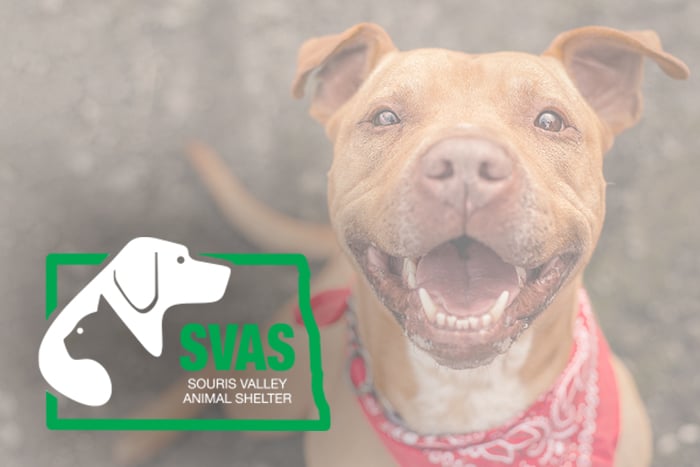 Souris Valley Animal Shelter logo overlays image of a happy dog with a red bandana in Minot, ND